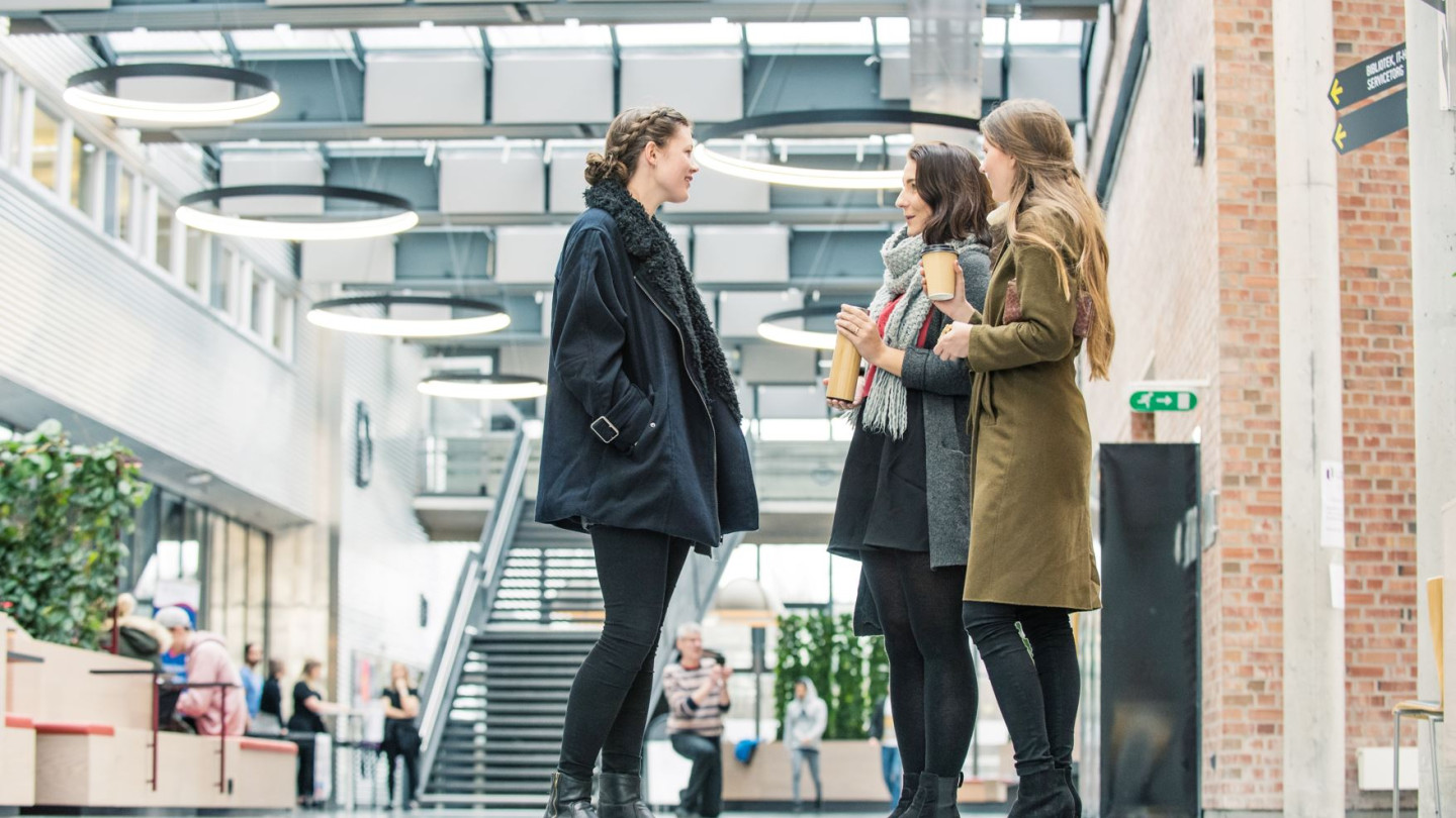 university of agder kristiansand norway